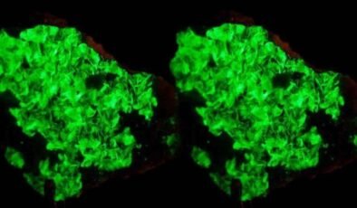 Dünyanın En Nadir Elementi: Astatin ve Özellikleri