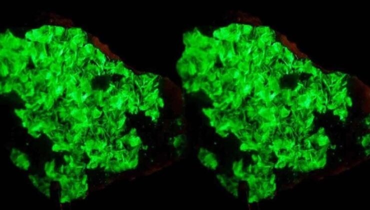 Dünyanın En Nadir Elementi: Astatin ve Özellikleri