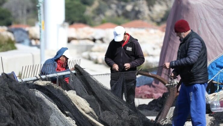 Güney Marmara’da Balıkçılık Sezonu Müsilaj Sorunuyla Geçti