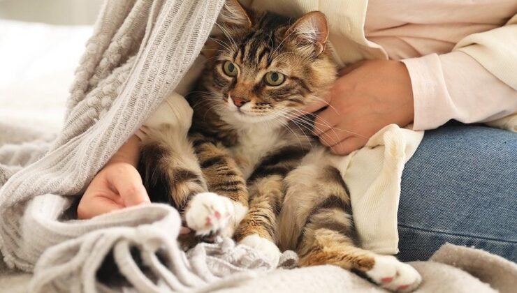 Kedilerle Yalnız Yaşayan Kadınların Psikolojik Alışkanlıkları