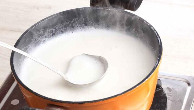 Manda Sütünün Faydaları ve Yetiştiriciliği