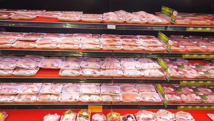 Marketlerde Satılan Tavuk Etlerinde Tehlike Var: Campylobacter Bakterisi ve Güvenli Tüketim Tavsiyeleri