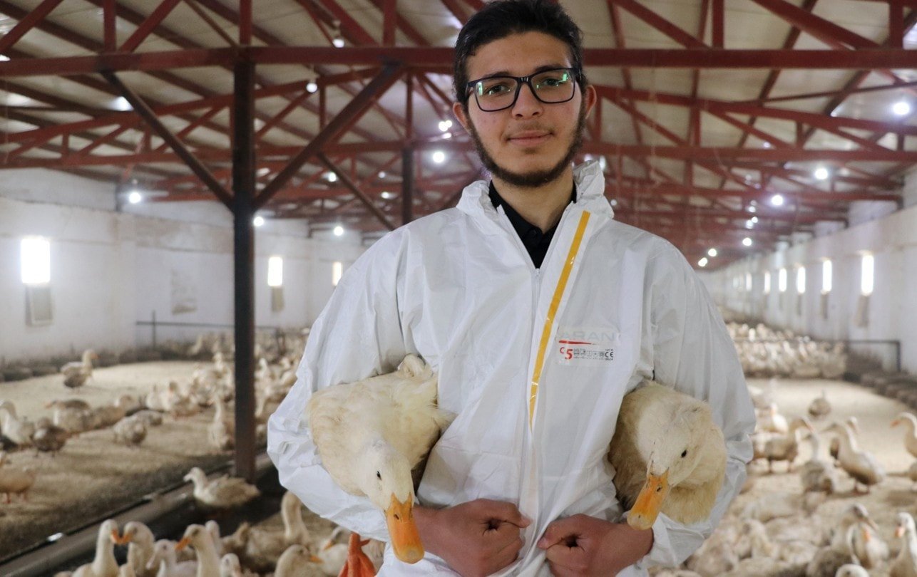 Geleceğin Çok Daha Verimli Türleri: Mulard Ördek