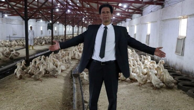 Mısırlı Girişimci Servet Abdelwahab’ın Pekin Ördeği Yatırımları ve Gelecek Planları