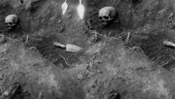 Oakhurst Kaya Sığınağındaki Antik Uygarlığın Genetik Keşifleri