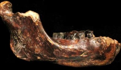 Penghu 1: Yeni Denisovan Fosili ve Önemi