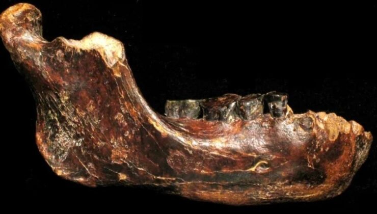 Penghu 1: Yeni Denisovan Fosili ve Önemi
