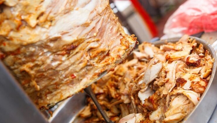 Salmonella Bakterisi ve Gıda Güvenliği Hakkında Detaylı Bilgi