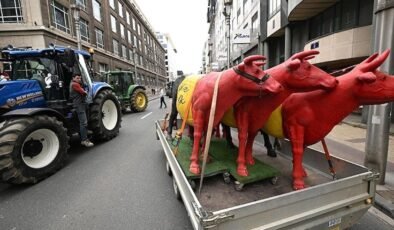 Avrupa Birliği Bütçe ve Tarım Politikaları Çerçevesinde Çiftçi Protestosu