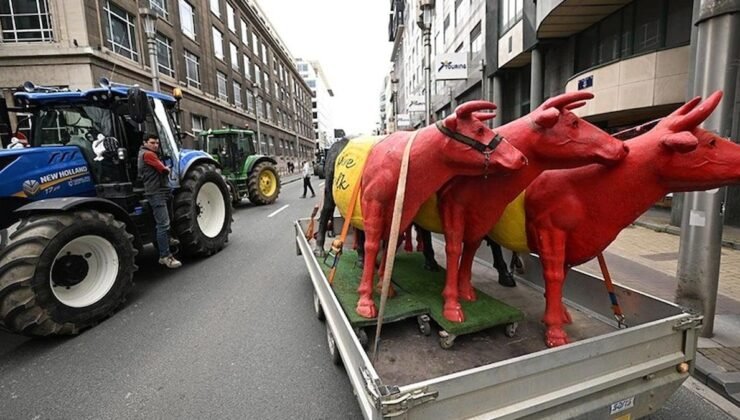 Avrupa Birliği Bütçe ve Tarım Politikaları Çerçevesinde Çiftçi Protestosu