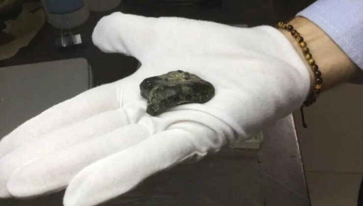 Endonezya’da Keşfedilen 140 Bin Yıllık Fosil Bulguları ve Homo erectus’un Yaşam Alanları