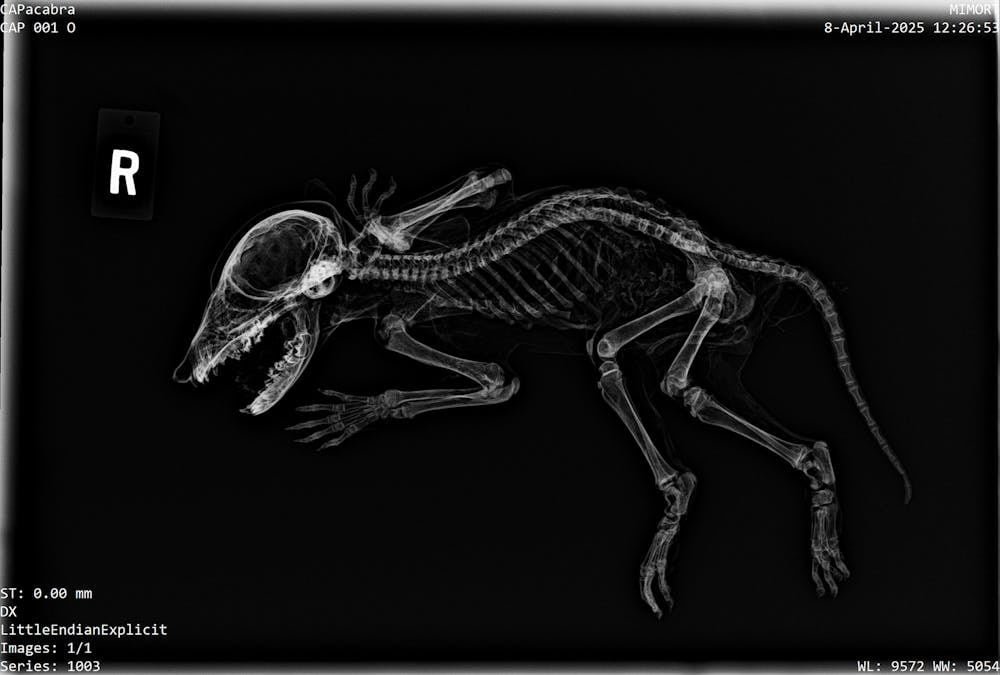 İncelemeler ve Tahminler