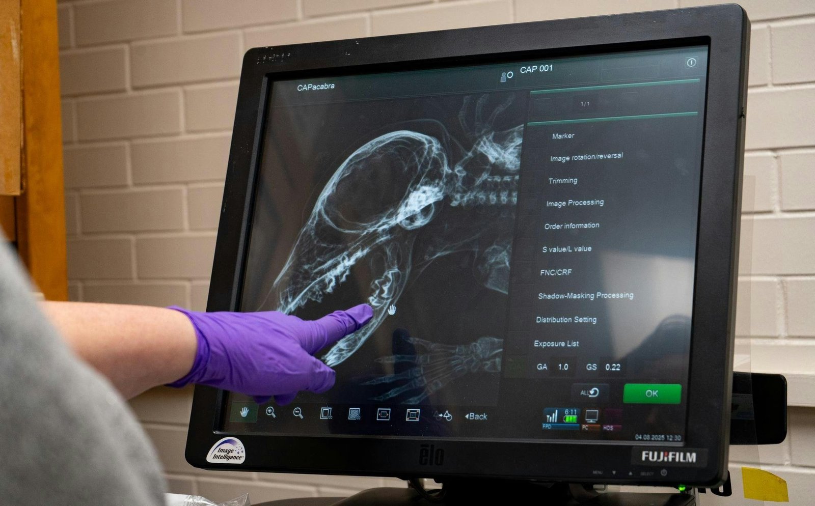 Yaratığın Bina İçine Giriş ve Mumyalık Süreci