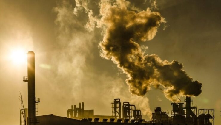 Hava Kirliliği ve Sağlık Riskleri: Tampa’da Güncel Durum ve Uyarılar