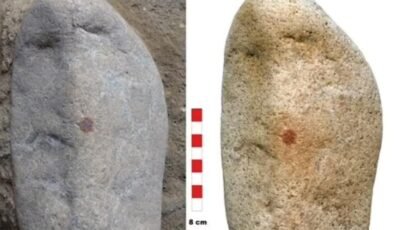 İnsanlık Tarihinin En Eski Yüz Tasviri Olan Çakıl Taşı Keşfi