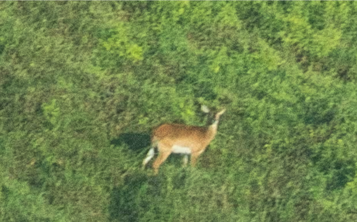 Demokratik Kongo Cumhuriyeti’nin Güneyindeki Kamalondo Depresyonunda Yapılan Hava Araştırması