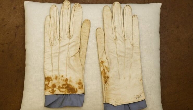 Lincoln Koleksiyonunun Satışına Yönelik Tepkiler ve Detaylar