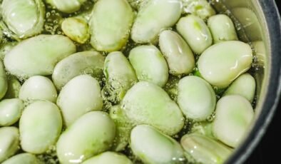 Parkinson Hastalığında Bakla ve Dopamin İlişkisi