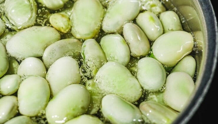 Parkinson Hastalığında Bakla ve Dopamin İlişkisi