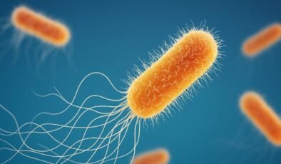 Pseudomonas aeruginosa ve Plastikleri Parçalama Yeteneği: Yeni Bir Tehdit ve Fırsat