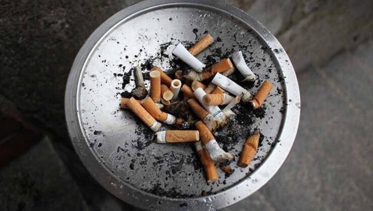 Sağlıklı Yaşlanmanın Anahtarı: Erken Dönemden Alınan Önlemler