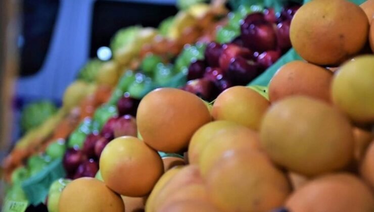 Türkiye’de Zirai Don Felaketleri ve Çiftçilerin Durumu