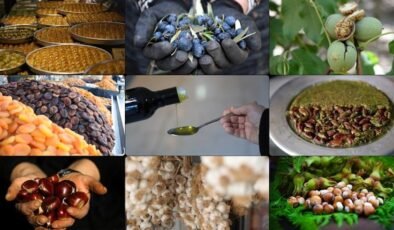 Türkiye’nin Coğrafi İşaretleri ve Uluslararası Başarıları