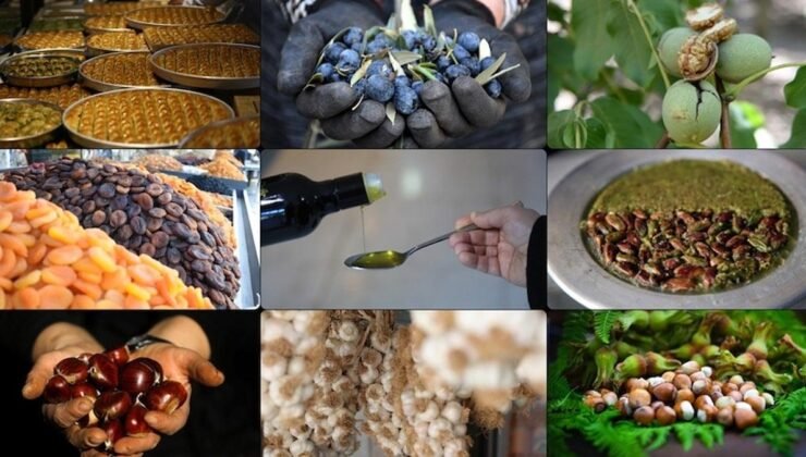 Türkiye’nin Coğrafi İşaretleri ve Uluslararası Başarıları