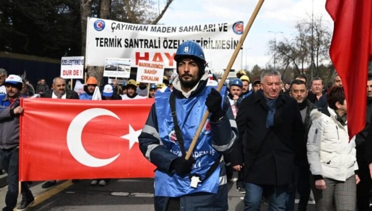 Çayırhan Termik Santrali ve Maden Sahasının Özelleştirilmesi: Detaylar ve Analizler