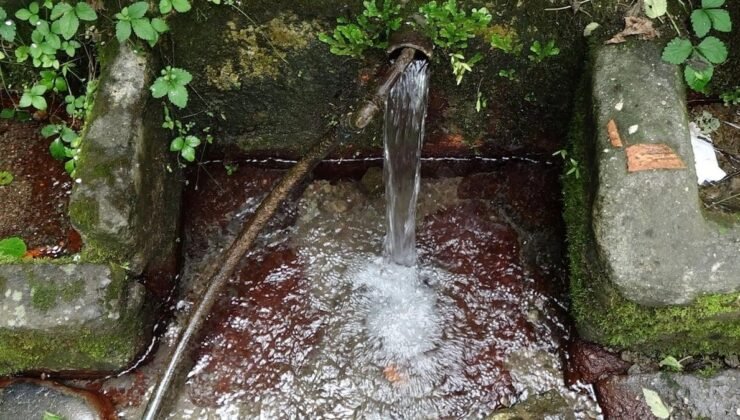 Doğu Karadeniz’de Mineralli Su Kaynaklarının Önemi ve Kullanımı