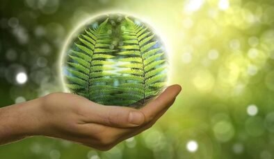 Erdoğan’ın Elektrik Sektöründe Yeşil Dönüşüm ve Finansman Vurgusu