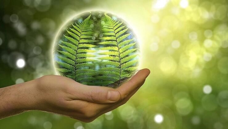 Erdoğan’ın Elektrik Sektöründe Yeşil Dönüşüm ve Finansman Vurgusu