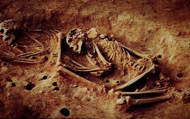 Genetik İzlerin Tamamen Silinmiş Olması ve Bu Durumun Anlamı