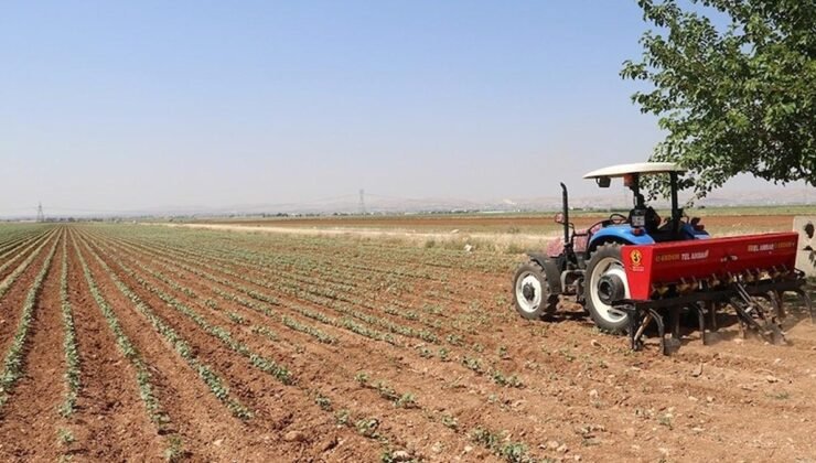 Türkiye Gıda ve İçecek Sanayii Sektörünün Nisan Ayı Dış Ticaret Verileri Açıklandı