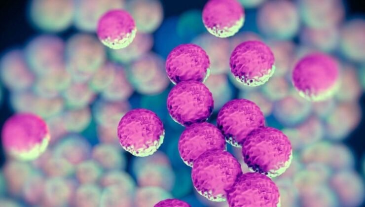 Avrupa’da Yayılan Yeni MRSA Türü ve Çocuk Sağlığına Olası Etkileri