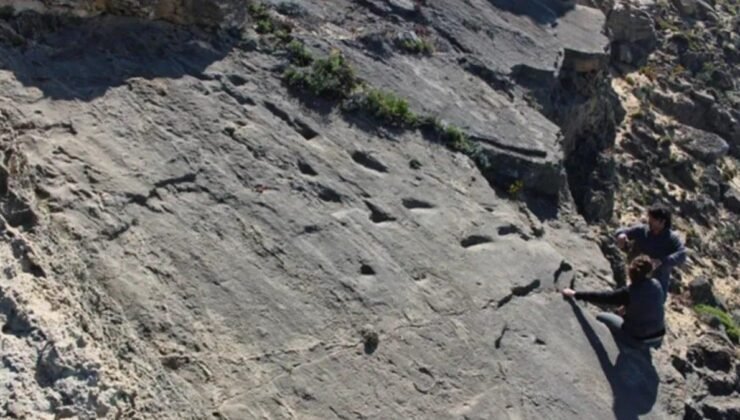 Avrupa’nın En Eski Neandertal Ayak İzleri Keşfi