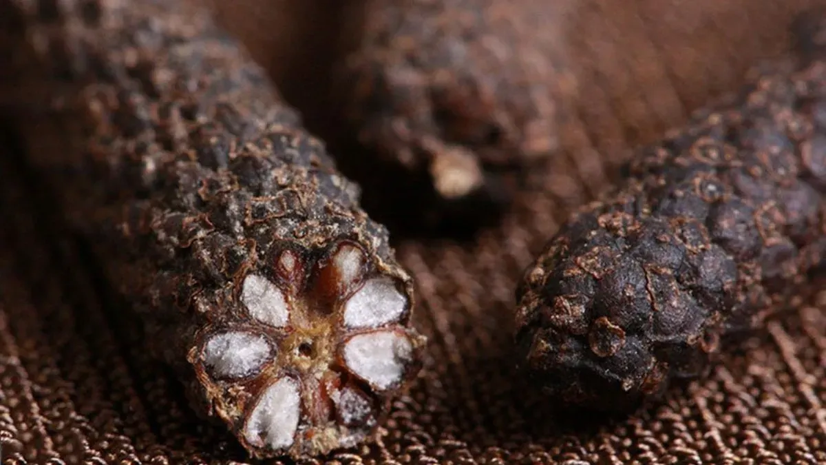 Cinsel gücü artırıyor, enfeksiyonları söküp atıyor.Doğal şifa kaynağı!