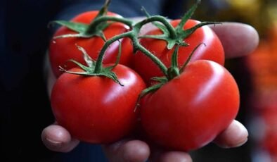 Domatesin Sağlığa Olan Potansiyel Zararları ve Dikkat Edilmesi Gereken Durumlar