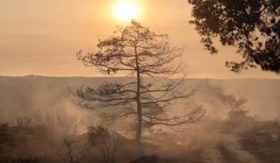 Güney Kıbrıs’ta Büyük Orman Yangını ve Son Durumlar