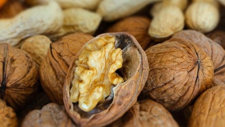Hiçbir uzmanın anlatmadığı mucizevi etki: Sadece 1 adet ceviz kabuğu yetiyor
