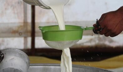 İnek ve koyun sütünü geride bıraktı! En sağlıklı süt bakın hangisiymiş