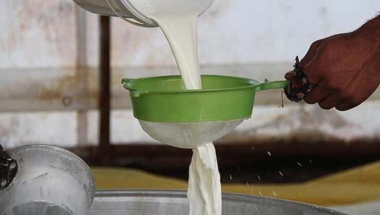 İnek ve koyun sütünü geride bıraktı! En sağlıklı süt bakın hangisiymiş