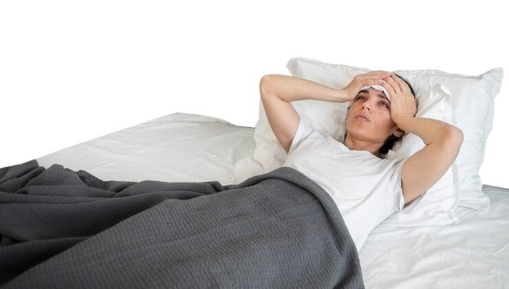 Lyme Hastalığı: Gizli Pandemi ve Artan Tehdit