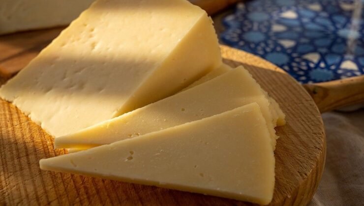 Almanya Menşeli Peynir, Listeria Tehlikesi ve Türkiye’ye Potansiyel Etkileri