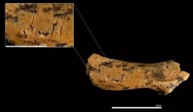 Atapuerca’da 850 Binin Üzerindeki Gizem: Homo antecessor’un Yamyamlık İzleri ve Yeni Keşifler