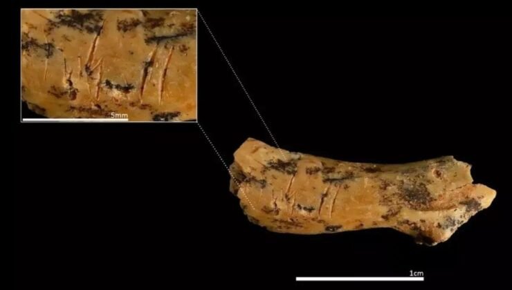 Atapuerca’da 850 Binin Üzerindeki Gizem: Homo antecessor’un Yamyamlık İzleri ve Yeni Keşifler