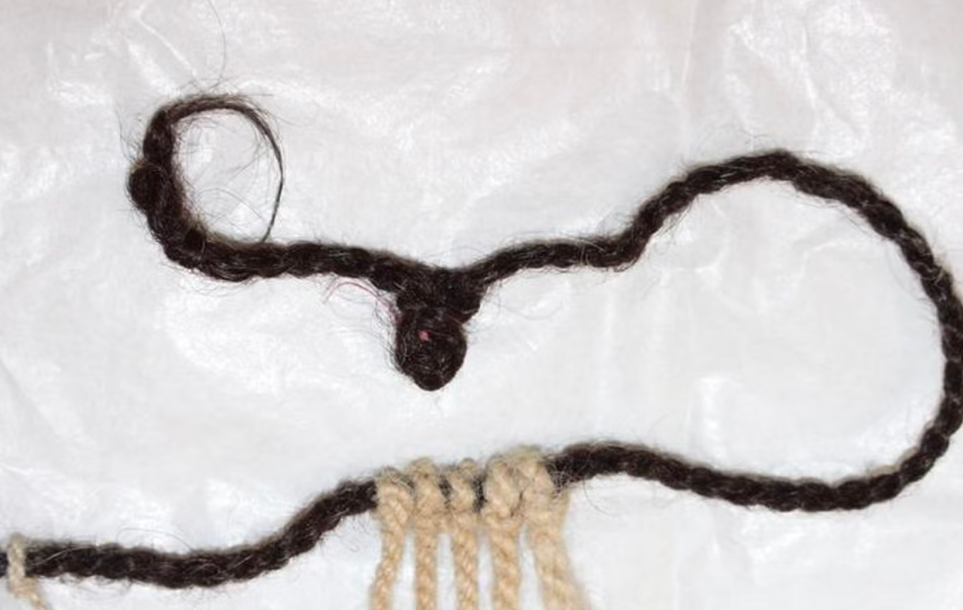 Bir saç teli tarihi değiştirdi