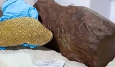 Bulduğu taşı altın sandı gerçek başka çıktı: Dünyada yalnızca 17 tane var, değeri paha biçilmez