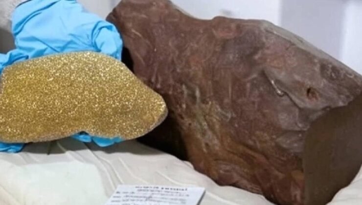 Bulduğu taşı altın sandı gerçek başka çıktı: Dünyada yalnızca 17 tane var, değeri paha biçilmez