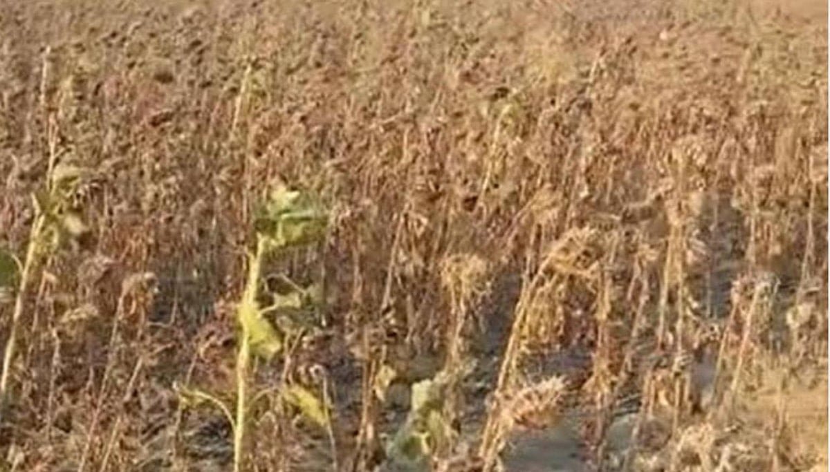 Çiftçinin sesini Vali Bey duymadı